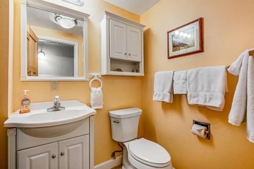 a bathroom with a white toilet and a sink at Lakeside Mountain Retreat in Dillon