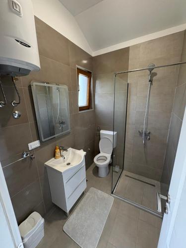 a bathroom with a shower and a toilet and a sink at Studio Kolo-M in Blagaj