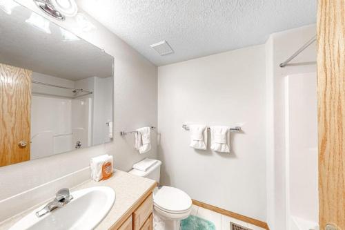 a bathroom with a sink and a toilet and a mirror at Cozy Fraser Cabin in Fraser