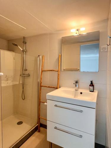 a small bathroom with a sink and a shower at Large 2 bedrooms Duplex - City Center & free Parking in Arcachon