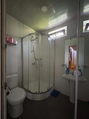a bathroom with a shower and a toilet and a sink at Levani's Cottage in Borjomi