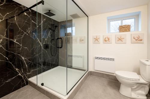a bathroom with a shower and a toilet at Chalet Cozy Spa sur Lac in Saint-André-Avellin