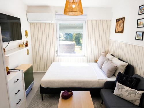 a small room with a bed and a couch at Nexus Apartman in Apatin