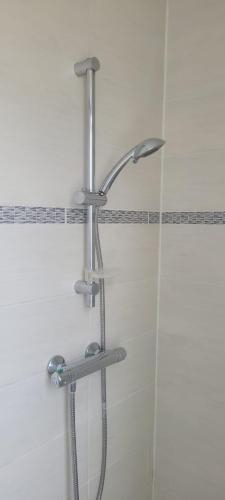 a shower with a shower head in a bathroom at Studio la Romagne in La Romagne