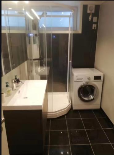 a bathroom with a sink and a washing machine at Sentral leilegheit i Ørsta in Ørsta
