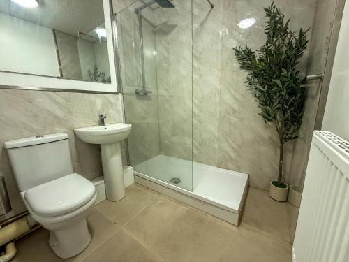 a bathroom with a toilet and a shower and a sink at Spacious Central Flat with Parking in Bangor