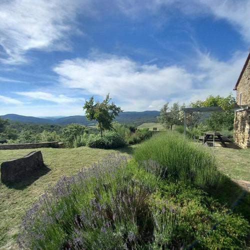 a garden with purple flowers and a barn at Agriturismo Timignano in Monteguidi