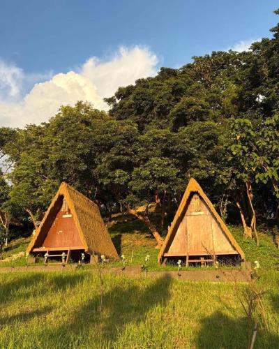 two thatched huts in a field with trees at Abot Langit Calatagan in Calatagan
