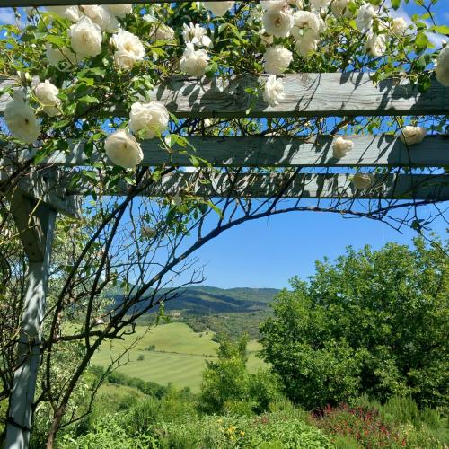 a magnolia tree with a view of the mountains at Agriturismo Timignano in Monteguidi