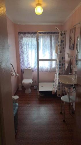 a bathroom with a toilet and a sink and a window at Grodås Lake View Apartment in Hornindal