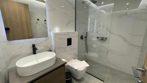 a bathroom with a sink and a toilet and a shower at Carmelia Villas in Agios Nikitas