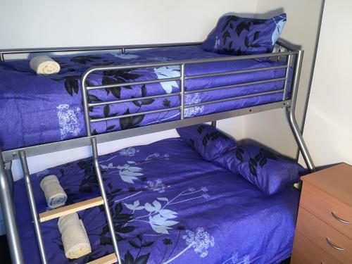 Krevet ili kreveti na sprat u jedinici u okviru objekta Park Drive TownHouse