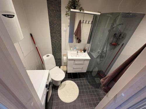 a bathroom with a shower and a toilet and a sink at Mõnus peatuspaik Saaremaa põhjaranniku avastamiseks in Myustelʼ