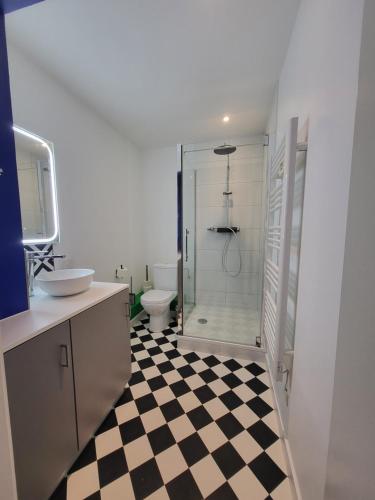 a bathroom with a shower and a sink and a toilet at Les couleurs de Schiltigheim - Aux portes de Strasbourg - Parlement in Schiltigheim