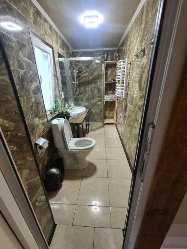 a bathroom with a toilet and a sink at Хатка у долині in Kosiv