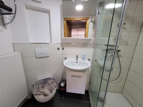 a bathroom with a sink and a shower and a toilet at Ferienwohnung Auszeit in Hohnstein