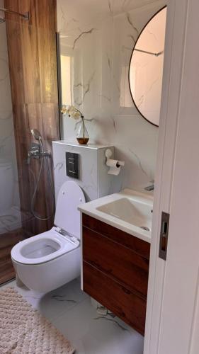 a bathroom with a toilet and a sink and a tub at Polaris Astra Bay in Lepetani