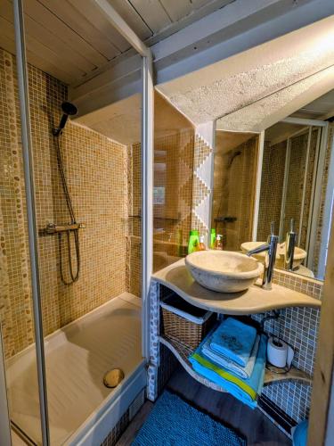 a bathroom with a sink and a shower at Tiny house - Drap, France in Drap
