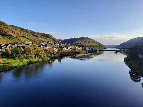 a view of a river with houses and a town at Wunderschönes Winzerhaus Schenk in Neef