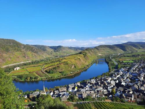 an aerial view of a village next to a river at Wunderschönes Winzerhaus Schenk in Neef