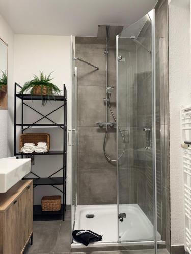 a bathroom with a shower with a glass door at APARTMENT in Hambach in Hambach