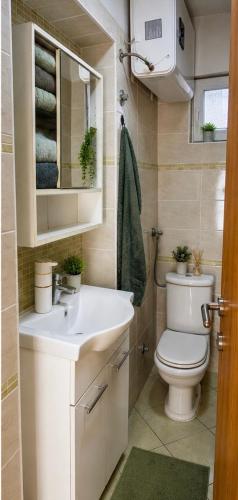 a small bathroom with a toilet and a sink at Apartment Vrančić in Šibenik