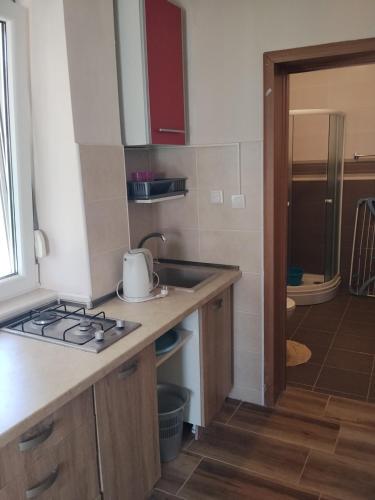 a kitchen with a sink and a stove top oven at Villa Yulia in Luštica