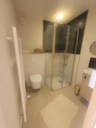 a bathroom with a shower and a toilet at Maisonnette nature et sérénité in Évran