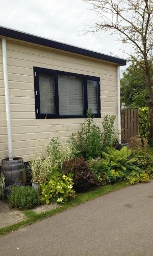a house with a bunch of plants in front of it at Kitty's Place Warmond in Warmond