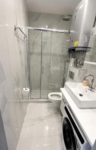 a bathroom with a shower and a toilet and a sink at Aleksandra Delfini Apartments in Paralia Katerinis