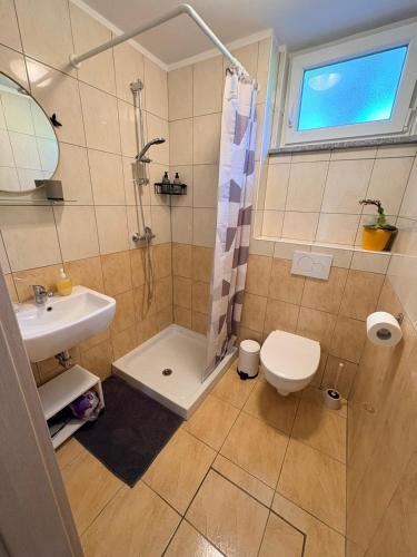 a bathroom with a shower and a toilet and a sink at Apartma Zari in Marezige