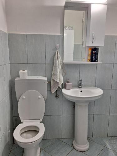 a bathroom with a toilet and a sink at Small house in Danilovgrad