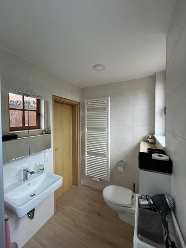 a bathroom with a white sink and a toilet at Ferienwohnung Tor zum Oberwald in Herbstein