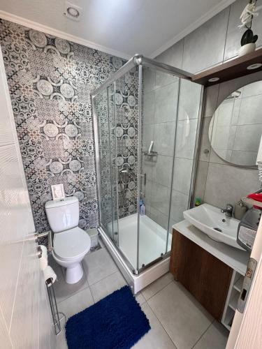 a bathroom with a shower and a toilet and a sink at Crown TiM Villa in Vrnjačka Banja