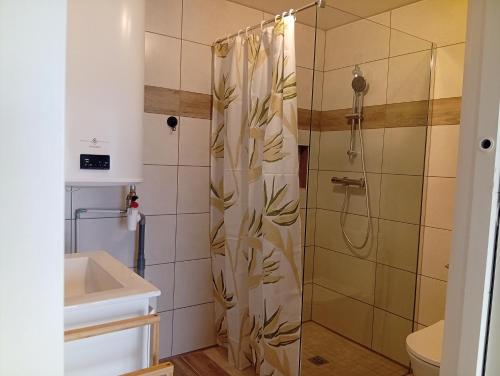 a bathroom with a shower and a sink at Studio proche océan pour Deux personnes in Longeville-sur-Mer
