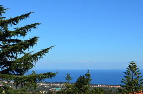 a view of the ocean from between two trees at Frasteva Resort in Valverde