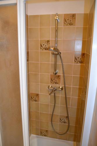 a shower with a hose in a bathroom at Am Burg in Klotten