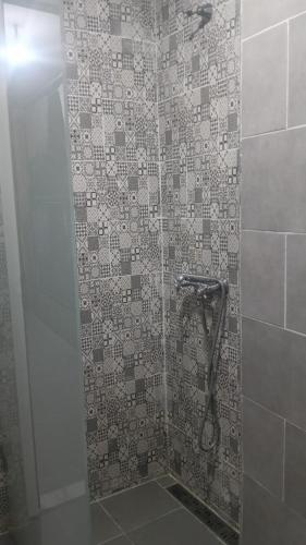 a bathroom with a shower with a tiled wall at one hostel in Tabarka