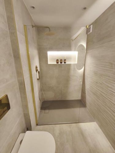 a small bathroom with a toilet and a shower at Saint Patricks Wicklow in Wicklow