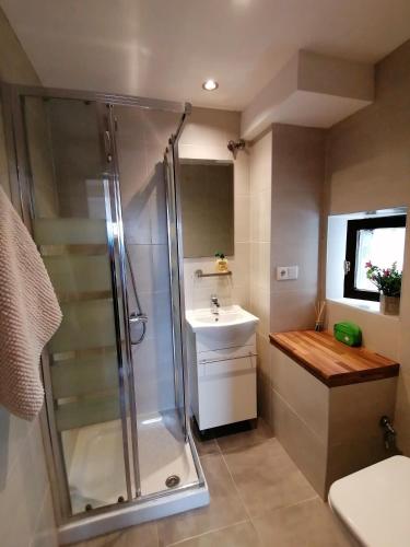 a bathroom with a shower and a sink at Apartamentos Almenada in Llanes