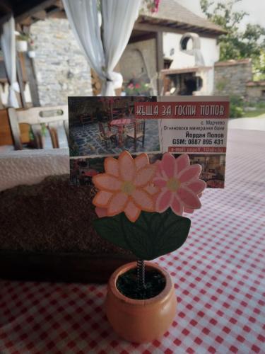 a small flower in a pot on a table at Guest House Popov in Marchevo