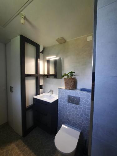 a bathroom with a toilet and a sink at Le Cozy Cocon in Franqueville-Saint-Pierre