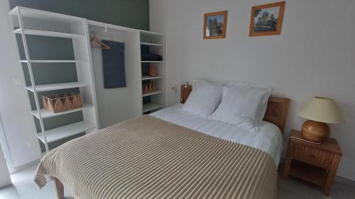 a bedroom with a bed and a book shelf at Le Cozy Cocon in Franqueville-Saint-Pierre