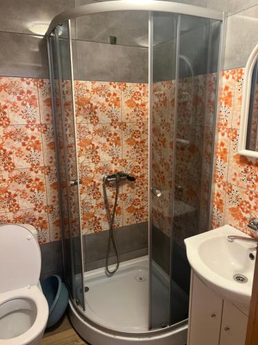 a bathroom with a shower with a toilet and a sink at Domki letniskowe u Marty in Łeba