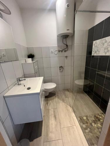 a bathroom with a toilet and a sink and a shower at Domki letniskowe Malina 1 in Gawrony