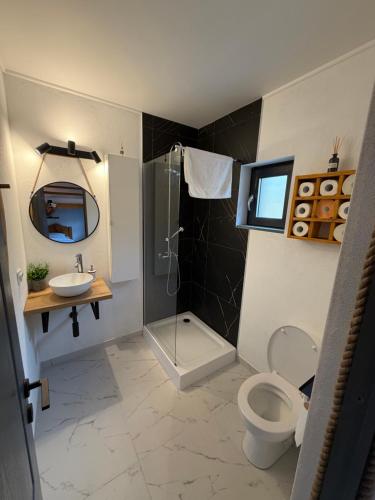 a bathroom with a shower and a toilet and a sink at Greystone Cabin in Măguri-Răcătău