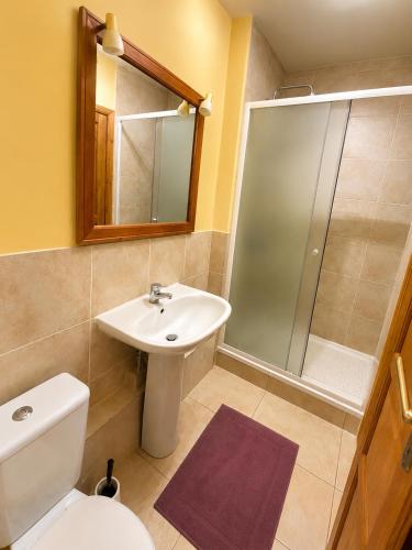 a bathroom with a toilet and a sink and a shower at La Ferme des Coquelicots in Miraumont