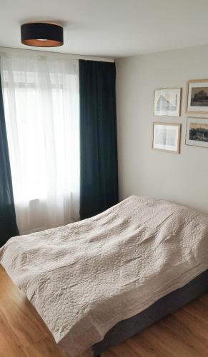a bedroom with a bed and a window at Apartament Jeziorna in Debrzno