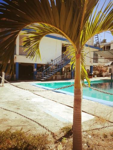 a palm tree in front of a swimming pool at Hotel Caleta Bor Acapulco in Acapulco