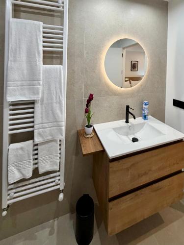 a bathroom with a sink and a mirror at Laros Pios Alojamiento 4 in Villalba